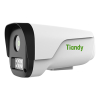 Camera Tiandy C13ZN